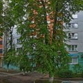 Фото Стоматология «Вита-Дент» на Медведева