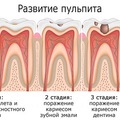 Фото Дантист-Профи