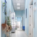 Фото Стоматология «Визиодент»