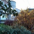 Фото Клиническая cтоматологическая поликлиника №1
