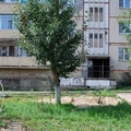 Фото Поликлиническое подразделение №1