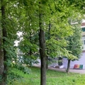Фото Поликлиника на Мичмана Павлова ГДБ №1