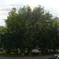 Фото Медицинский центр «Левида»