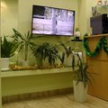 Фото Медицинский центр «Новая стоматология»