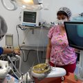 Фото Детская стоматология «Дункан» на Ленинском