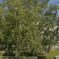 Фото Алтайский краевой вертеброневрологический центр