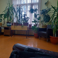 Фото Поликлиника «Муромтепловоз»