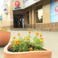 Фото Стоматологический центр Первый
