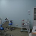 Фото КОЛИБРИ