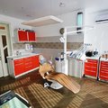 Фото Стоматология «Симфония улыбки»