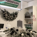 Фото Центр проблемной стопы «Podospecific»