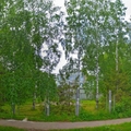 Фото Кировский областной наркологический диспансер