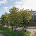 Фото Семейная