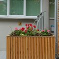 Фото Детская клиника «Цветы жизни»