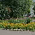 Фото Городской аритмологический центр