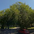 Фото Стоматологический кабинет на Никитина