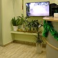 Фото Медицинский центр «Новая стоматология»