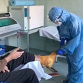 Фото Видновская районная клиническая больница, ГБУЗ