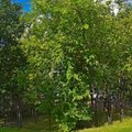 Фото Противотуберкулезный диспансер №12 СВАО