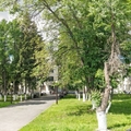 Фото Психоневрологический диспансер