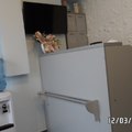 Фото Стоматологическая клиника «Американская улыбка»