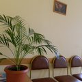 Фото Центр планирования семьи и репродукции