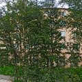 Фото Поликлиника №2 на Полярной Дивизии