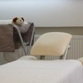 Фото «Институт остеопатии Мохова» на Дегтярной