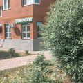 Фото Стоматология «ТриоДент»