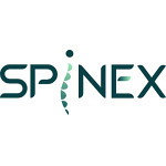 Центр оздоровительной гимнастики для спины «Spinex» - фото Центр оздоровительной гимнастики для спины «Spinex» - фото
