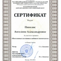 Фото Пинелис Ангелина Александровна