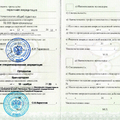 Фото Гамидова Дарья Наримановна