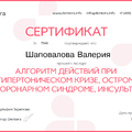 Фото Шаповалова Валерия Александровна