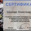 Фото Шехада Александра Дмитриевна