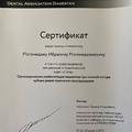 Фото Магомедов Ибрагим Магомедалиевич